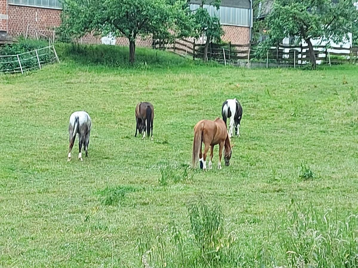 Monteurwohnung In Warstein Buitenkant foto