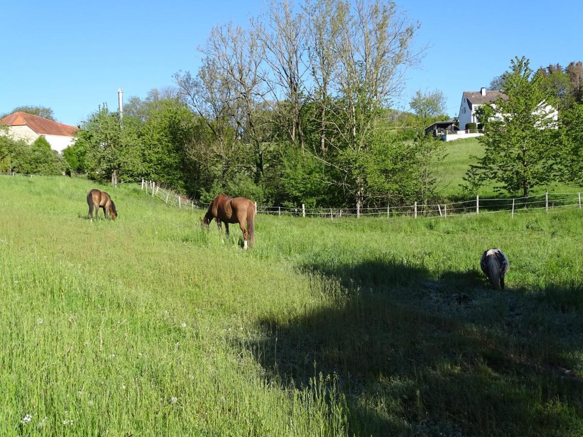 Monteurwohnung In Warstein Buitenkant foto